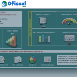 Análisis financiero y control presupuestal 2025
