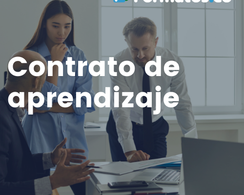 formato-de-cotizacion-en-excel