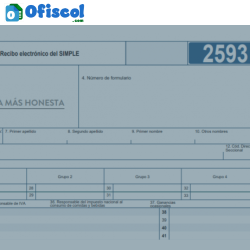 Liquidador anticipos Régimen Simple 2025