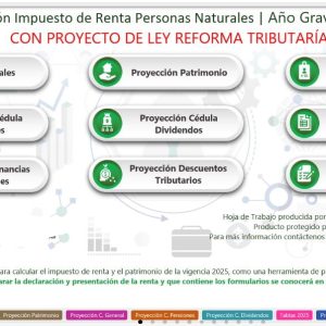 Liquidador proyección Renta Personas Naturales 2025