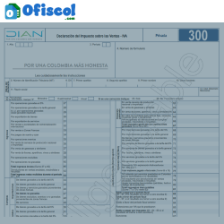 Formulario 300 DIAN en Excel ✅