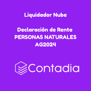 Liquidador Nube: Declaración Renta Personas Naturales 2024